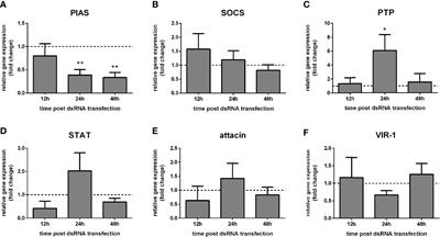 Leishmania infantum Infection Modulates the Jak-STAT Pathway in Lutzomyia longipalpis LL5 Embryonic Cells and Adult Females, and Affects Parasite Growth in the Sand Fly